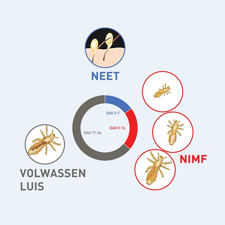Voortplanting & luizeneitjes