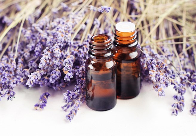 Luizen voorkomen met lavendel