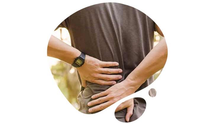 Les zones sensibles Les zones sensibles typiques pour les douleurs musculaires et articulaires sont par exemple le dos, les hanches et les genoux.