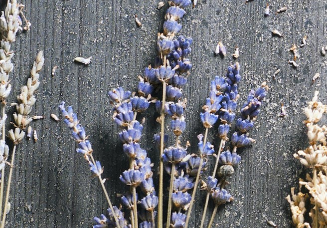 Welke natuurlijke slaapmiddelen bestaan er en hoe werken ze?
