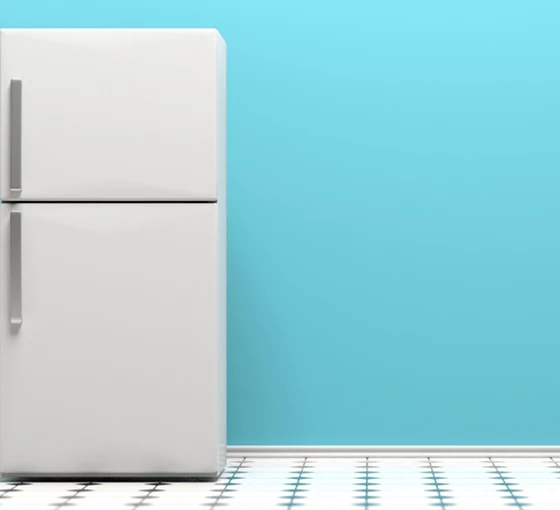 Diepvries gedurende 24u Diepvries gedurende 24u