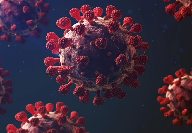 Y a-t-il un lien entre COVID-19 et la vitamine D ?