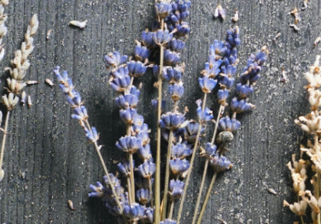 Quels sont les somnifères naturels existants et comment agissent-ils?