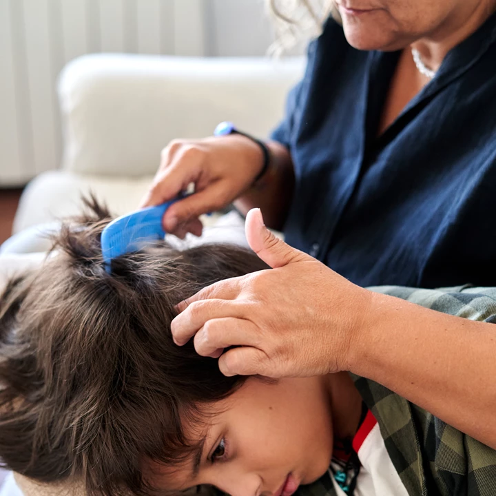 Luizen verwijderen? Fluitje van een cent met Silikom! Luizen verwijderen? Fluitje van een cent met Silikom!