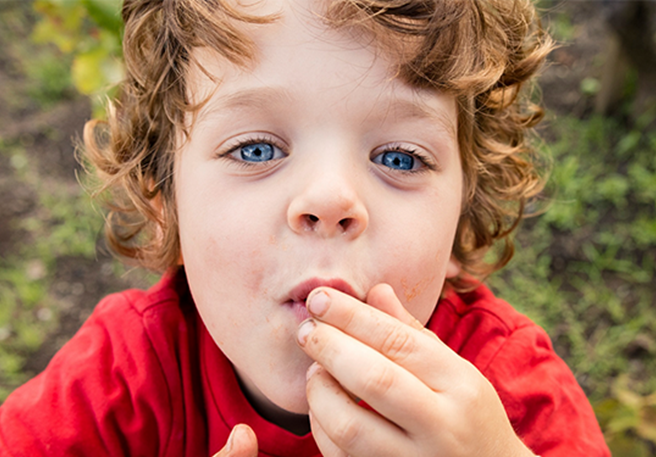 Un enfant qui prend tous les jours une gomme multivitaminée au goût de fruit