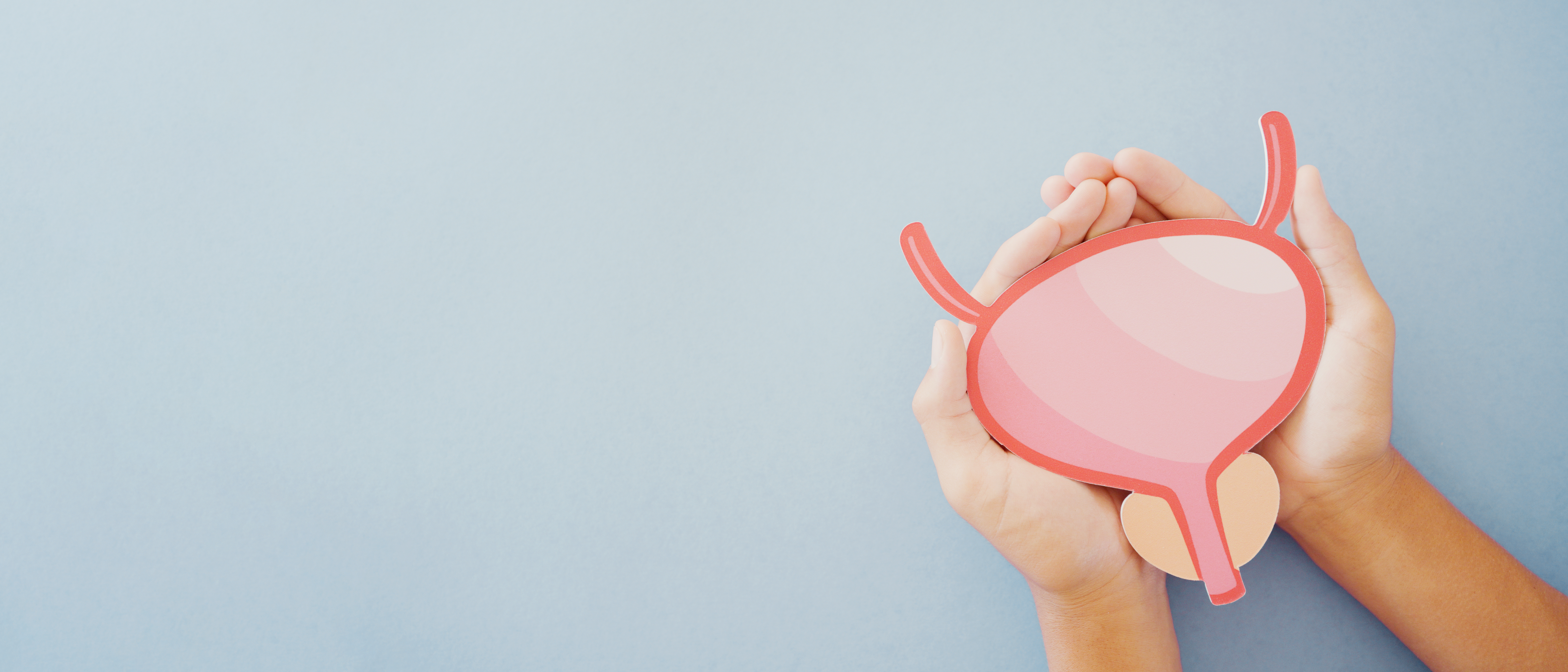 Chronische blaasontstekingen kunnen erg vervelend zijn 