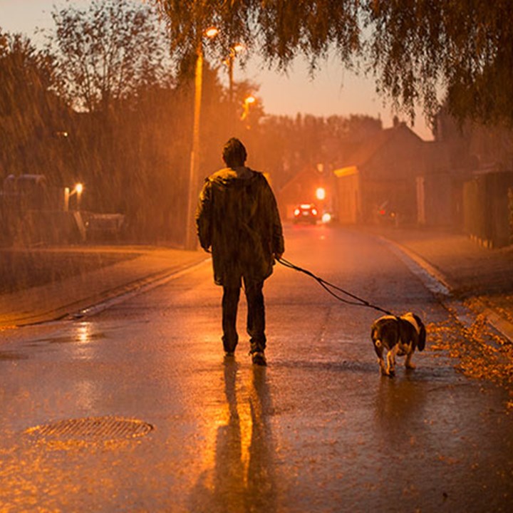 Pas de soleil, pas de vitamine D !  Entre octobre et mars, le soleil en Belgique ne brille pas assez fort pour produire suffisamment de vitamine D. Le soleil n'est pas assez fort pour en produire assez.
