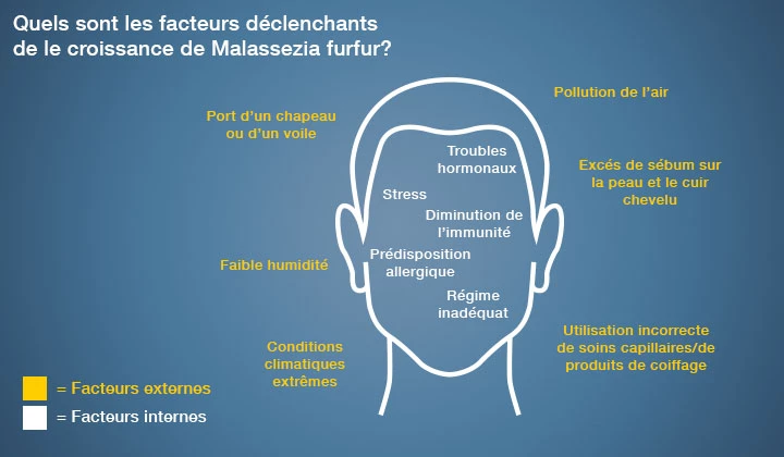 La croissance du champignon Malassezia furfur est influencée par plusieurs facteurs.  La croissance du champignon Malassezia furfur est influencée par plusieurs facteurs.