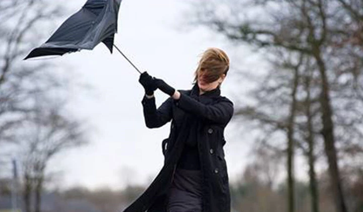 Luchtvervuiling kan onze talgproductie stimuleren en zo seborroïsch eczeem in de hand werken.