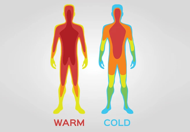 Onze huid regelt onze lichaamstemperatuur.