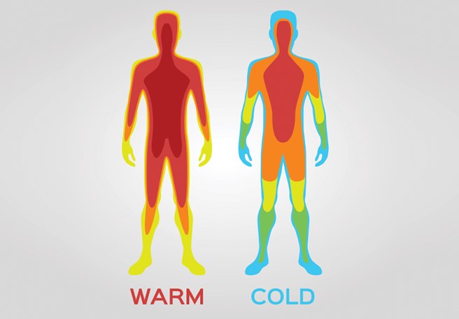 Notre peau régule la température de notre corps.