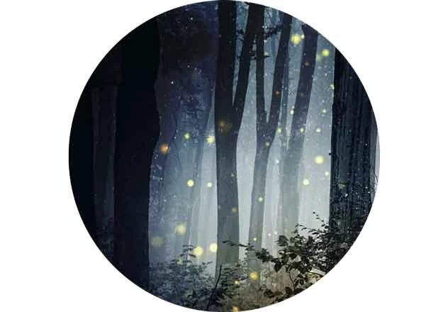 Mieux dormir Dix conseils qui vous aideront à mieux dormir.