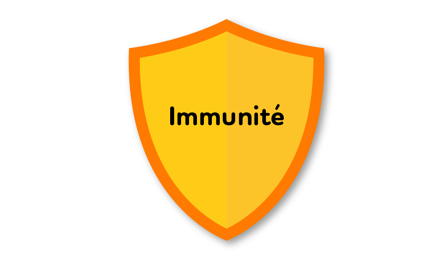 Un système immunitaire fort est élaboré et maintenu grâce aux bactéries présentes dans nos intestins.