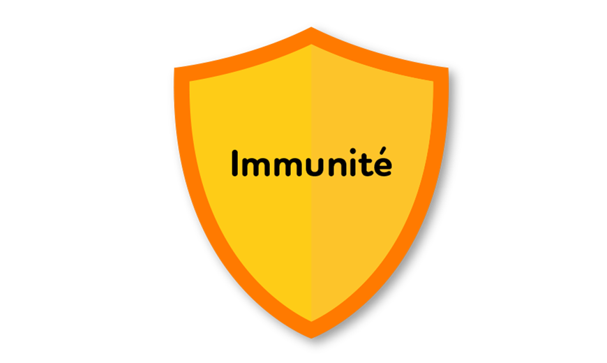 Un système immunitaire fort est élaboré et maintenu grâce aux bactéries présentes dans nos intestins.