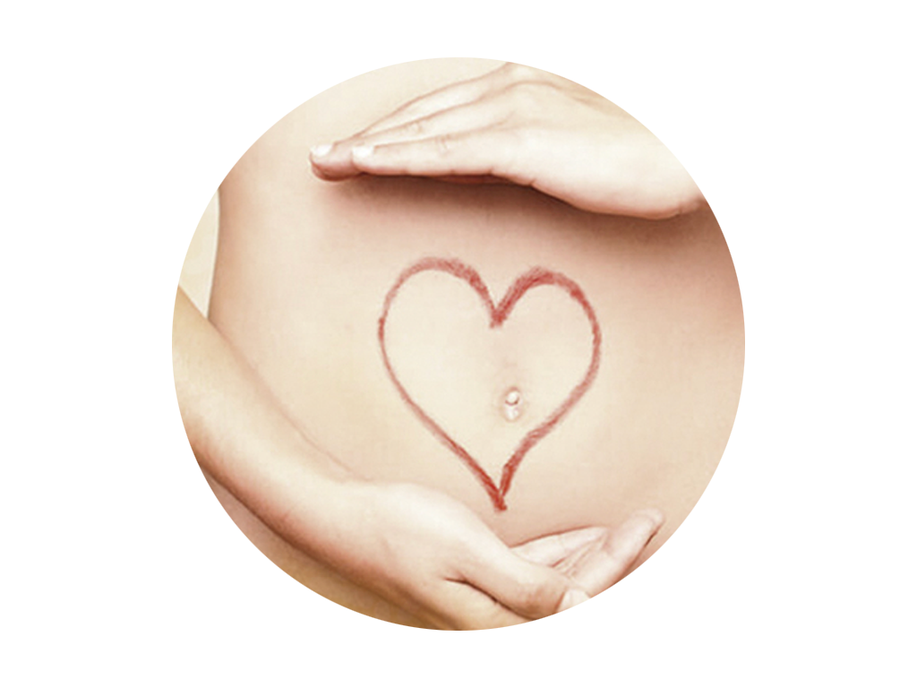 Flore intestinale saine